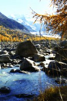 /album/fenykepgaleria/morteratsh001-jpg/